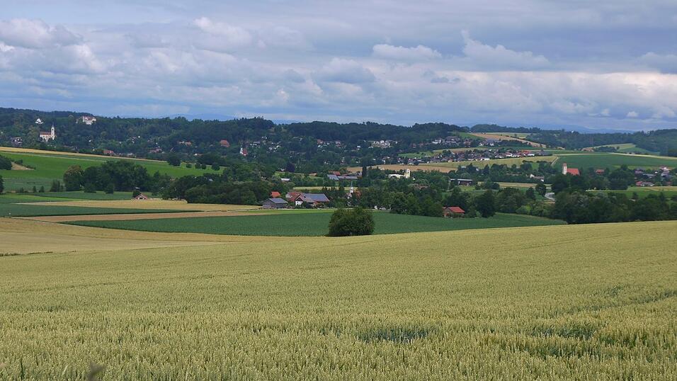In der niederbayerischen Landschaft arbeiten zu dürfen, sieht Georg Mayerhofer als Privileg. In der niederbayerischen Landschaft arbeiten zu dürfen, sieht Georg Mayerhofer als Privileg.