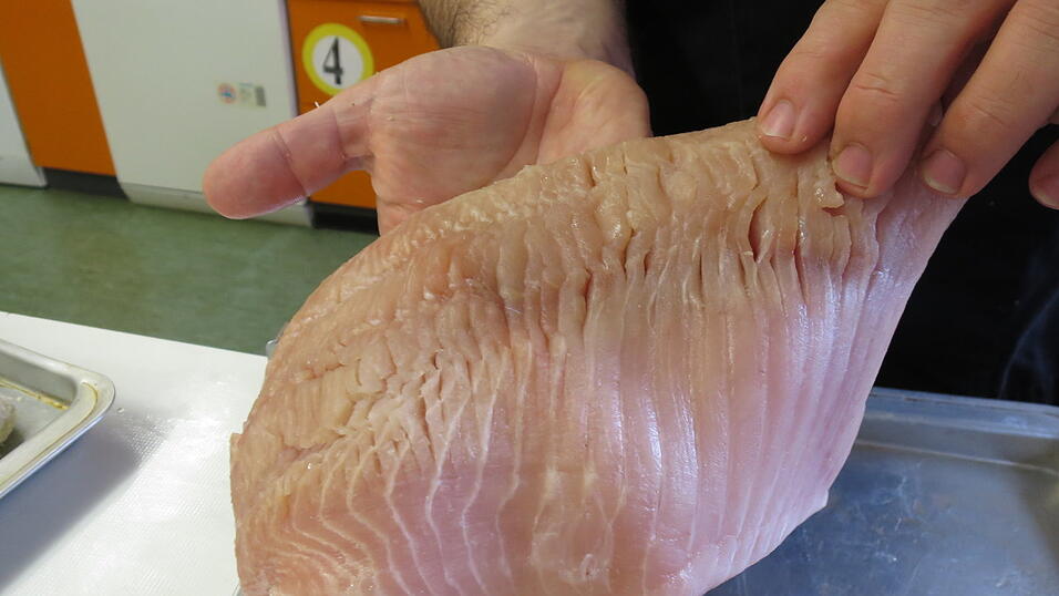 Die Rohware: Das Karpfenfilet sollte in etwa vier Zentimeter große Stücke geschnitten werden. Die Rohware: Das Karpfenfilet sollte in etwa vier Zentimeter große Stücke geschnitten werden.