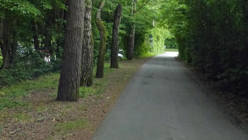 Auf insgesamt rund 600 Meter L&auml;nge wird die Baumallee in Richtung neuer Kurparkteil weitergef&uuml;hrt.