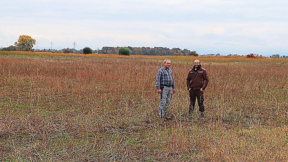 Alfons und Florian Stoiber engagieren sich für den Naturschutz und haben ein Feld für den Kiebitz zur Verfügung gestellt. Alfons und Florian Stoiber engagieren sich für den Naturschutz und haben ein Feld für den Kiebitz zur Verfügung gestellt.