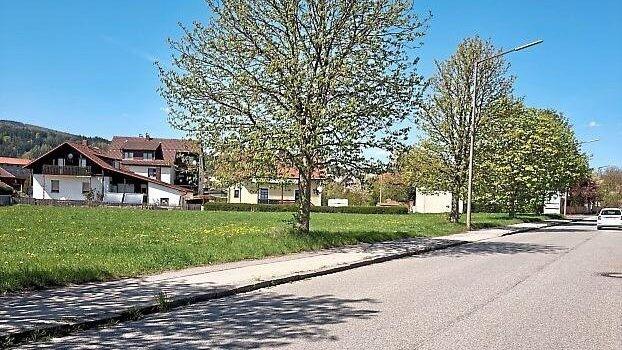 Hier an der Adam-Wild-Stra&szlig;e wird das neue Dienstgeb&auml;ude der Bundespolizei entstehen.