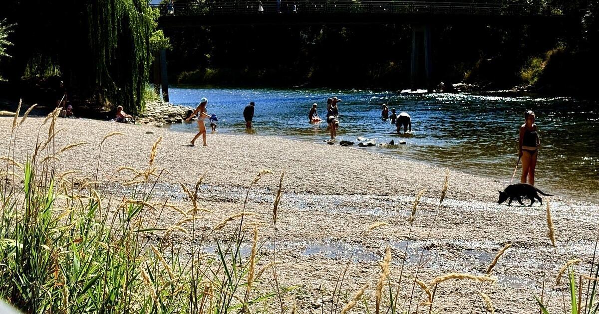 Idyllic spot on their doorstep: What the people of Landshut appreciate ...