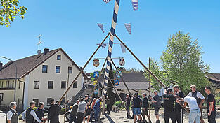 Nur mit Muskelkraft brachten die starken M&auml;nner in Leibersdorf den Stamm in die Senkrechte.