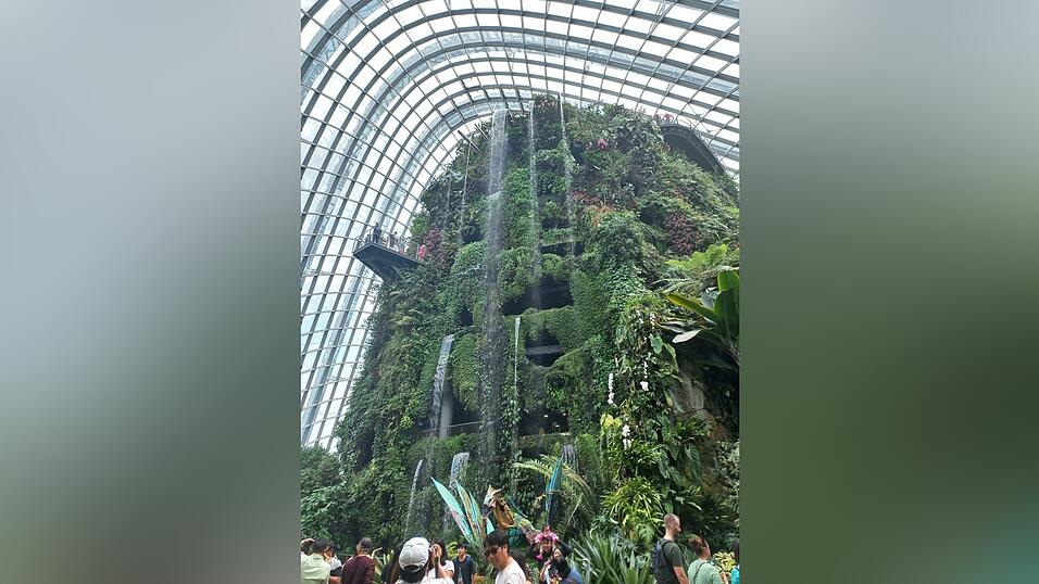 Bilder aus dem vorweihnachtlichen Singapur.