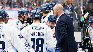 Wird der sp&auml;te Treffer von Tyler Madden am Dienstagabend zum Dosen&ouml;ffner f&uuml;r Spiel 5 am Donnerstag in Straubing? Tigers-Coach Craig Woodcroft & Co. wollen sich gegen das Saisonende aufb&auml;umen.