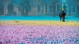 Minus drei Grad müssen es schon sein: Mit Schneekanonen zaubert Künstler Philipp Messner in München nicht nur eine Winterlandschaft vor die Alte Pinakothek. Minus drei Grad müssen es schon sein: Mit Schneekanonen zaubert Künstler Philipp Messner in München nicht nur eine Winterlandschaft vor die Alte Pinakothek.