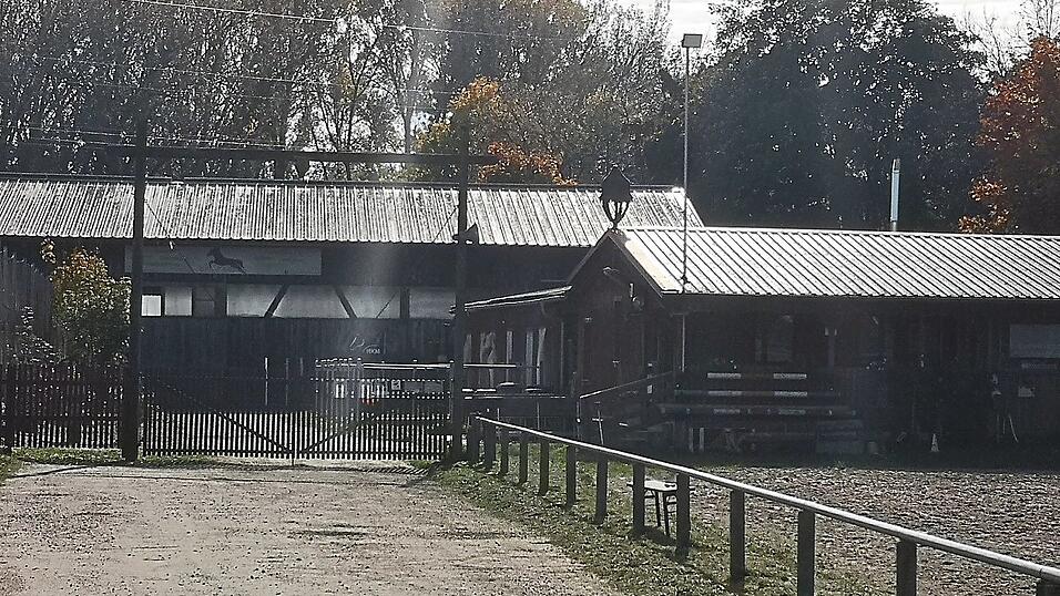 Die Anlage des Reitvereins an der Georg-Eckl-Straße gehört dem TSV Plattling. Bisher haben die Pferdebesitzer ihre Tiere selbst versorgt. Jetzt sucht der Verein einen Pächter, der den Betrieb professionell führt. Die Anlage des Reitvereins an der Georg-Eckl-Straße gehört dem TSV Plattling. Bisher haben die Pferdebesitzer ihre Tiere selbst versorgt. Jetzt sucht der Verein einen Pächter, der den Betrieb professionell führt.