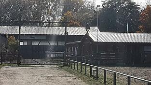 Die Anlage des Reitvereins an der Georg-Eckl-Straße gehört dem TSV Plattling. Bisher haben die Pferdebesitzer ihre Tiere selbst versorgt. Jetzt sucht der Verein einen Pächter, der den Betrieb professionell führt. 