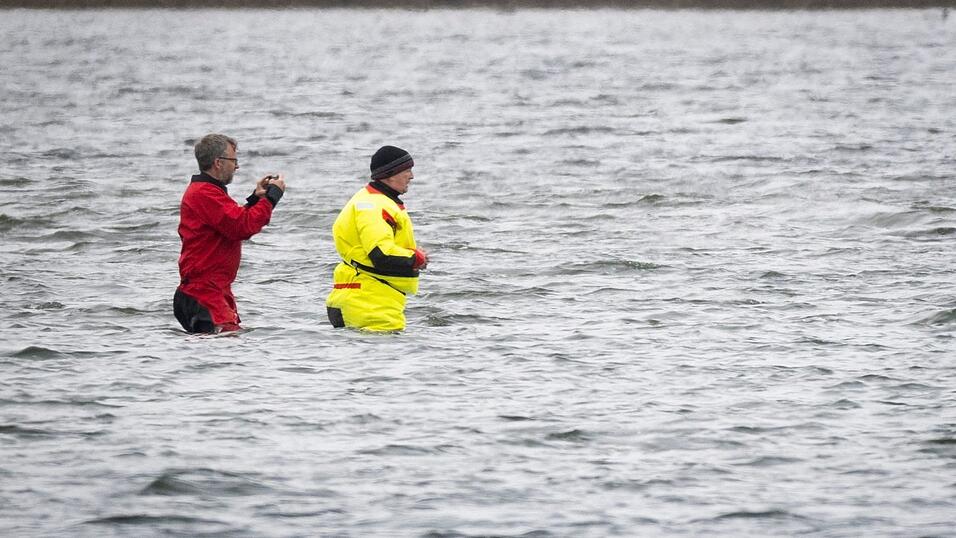 Till Backhaus l&auml;uft zum Buckelwal