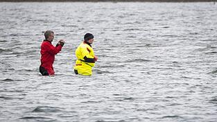 Till Backhaus l&auml;uft zum Buckelwal