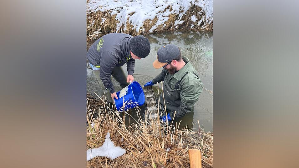 Die Mitglieder beim Ausbringen