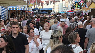 Das Altstadtfest im Herzen der Stadt erfreut sich in der Bevölkerung stets großer Beliebtheit und zieht regelmäßig Tausende Besucher an. Künftig soll es aber nicht mehr jährlich, sondern nur noch im Wechsel mit dem Fest der Kulturen am Ländtor stattfinden.