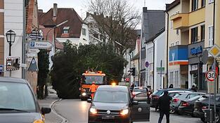 Der riesige Christbaum bahnte sich seinen Weg durch die Innenstadt. Der riesige Christbaum bahnte sich seinen Weg durch die Innenstadt.