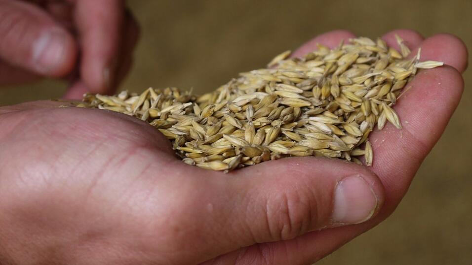 Georg Mayerhofer: ein Leben für die Landwirtschaft. Georg Mayerhofer: ein Leben für die Landwirtschaft.