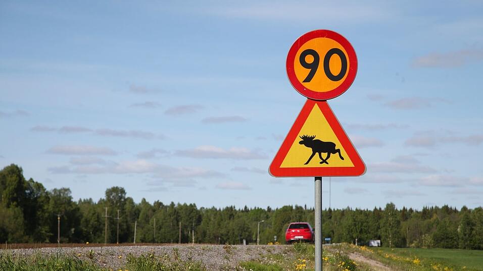 Ein Stra&szlig;enschild warnt im Norden von Schweden vor Elchen. (Illustration)