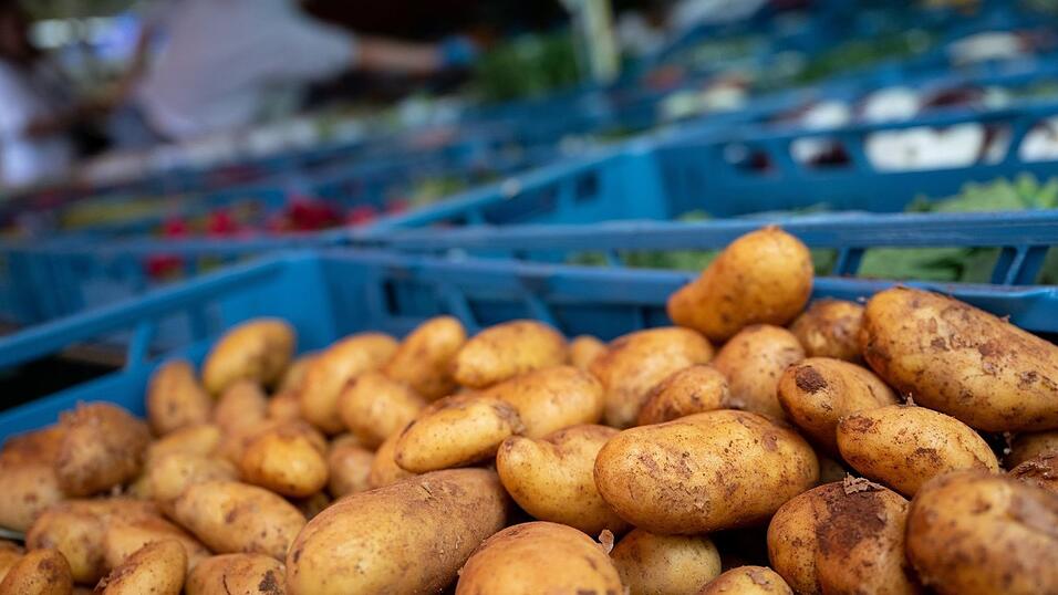 Experten wollen informieren, wie die Kartoffelernte in Bayern in diesem Jahr ausfällt. (Symbolbild) Experten wollen informieren, wie die Kartoffelernte in Bayern in diesem Jahr ausfällt. (Symbolbild)