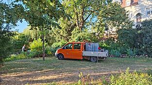 Ein Mitarbeiter des Stadtgartenamts bewässert die Grünanlagen. Wegen der anhaltenden Hitze und Trockenheit müssen die Gießintervalle erhöht werden. Ein Mitarbeiter des Stadtgartenamts bewässert die Grünanlagen. Wegen der anhaltenden Hitze und Trockenheit müssen die Gießintervalle erhöht werden.