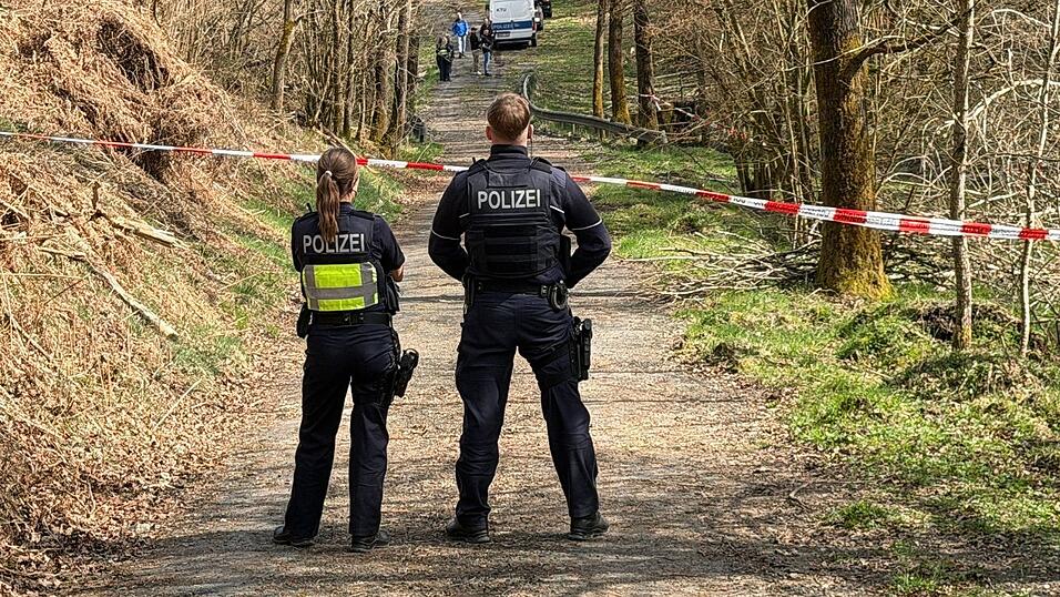 In diesem Waldst&uuml;ck wurde der Kopf der get&ouml;teten Frau gefunden. (Archivbild)