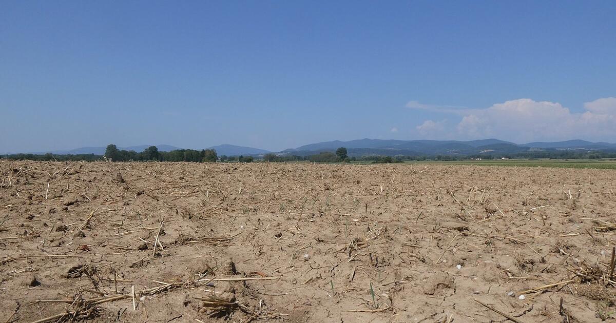 Wasserwirtschaftsamt Deggendorf: Grundwasser-Lage „sehr ernst“