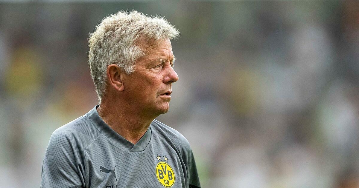Legendary German Assistant Coach Peter Hermann Dies at 74