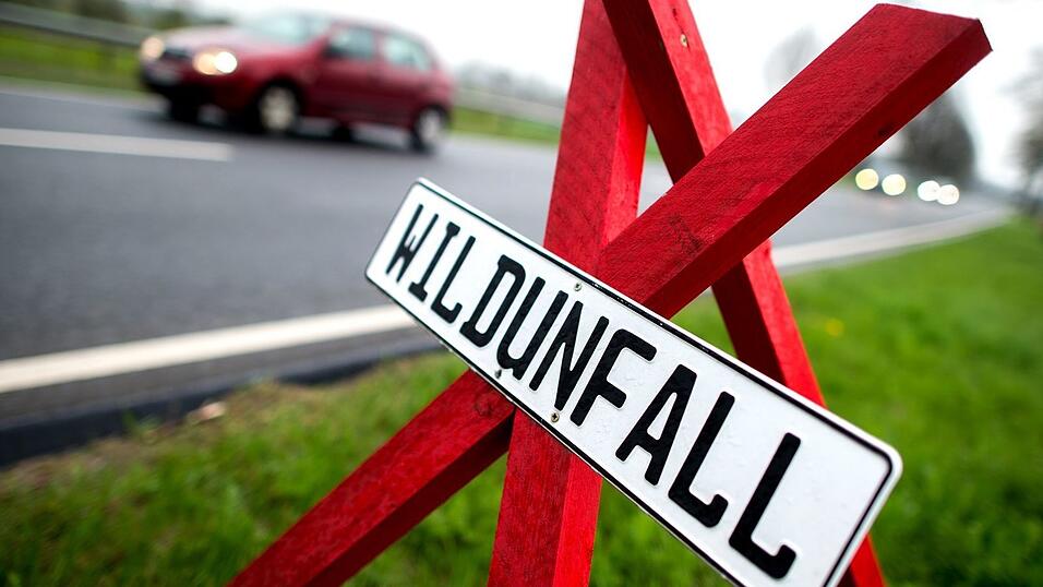 Ein Warnschild an der Stelle eines Wildunfalls in Deutschland. (Symbolbild)