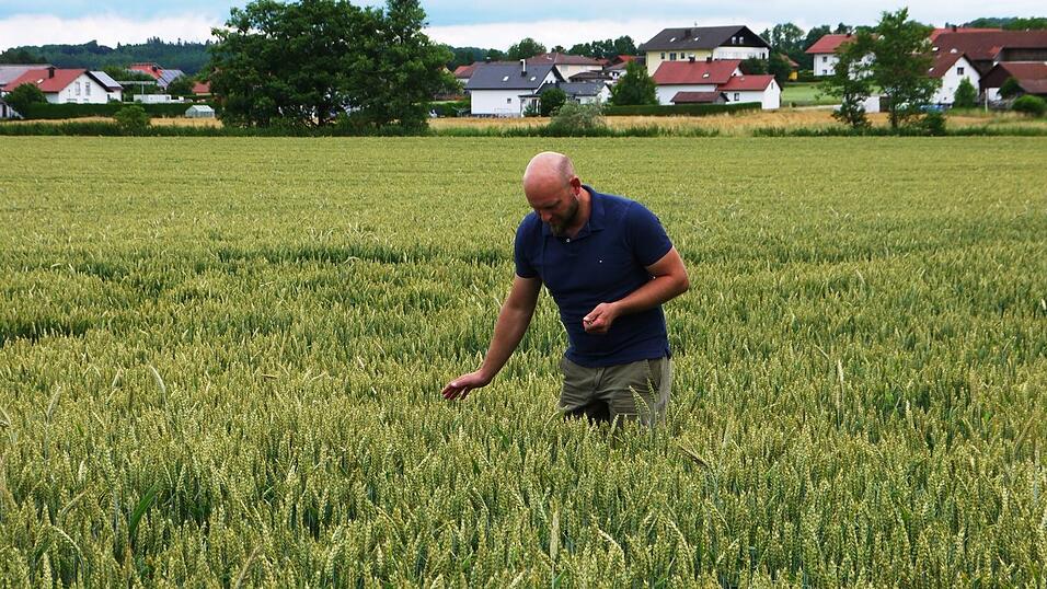 In seinem Element: Georg Mayerhofer lebt für seinen Bauernhof. In seinem Element: Georg Mayerhofer lebt für seinen Bauernhof.