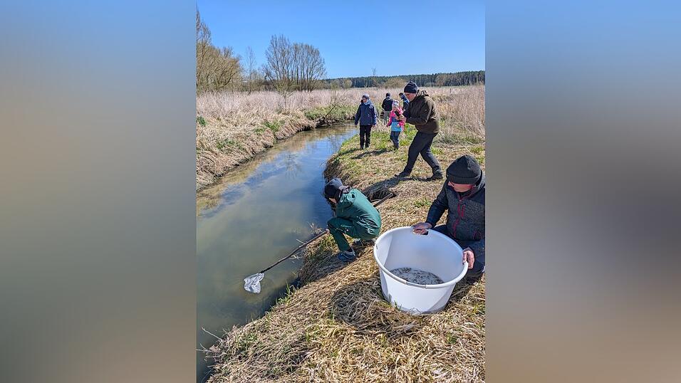Der große Tag: Die Nachwuchsfischer des Fischereivereins Langquaid haben die Bachforellen mit Stefan Janka (vorne) und Jugendwart Simon Gebendorfer in der Laber ausgesetzt.