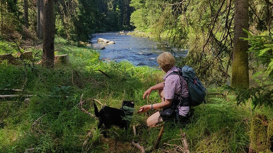 Jeder Teilnehmer hat seinen Rucksack mit Getränken dabei. Jeder Teilnehmer hat seinen Rucksack mit Getränken dabei.
