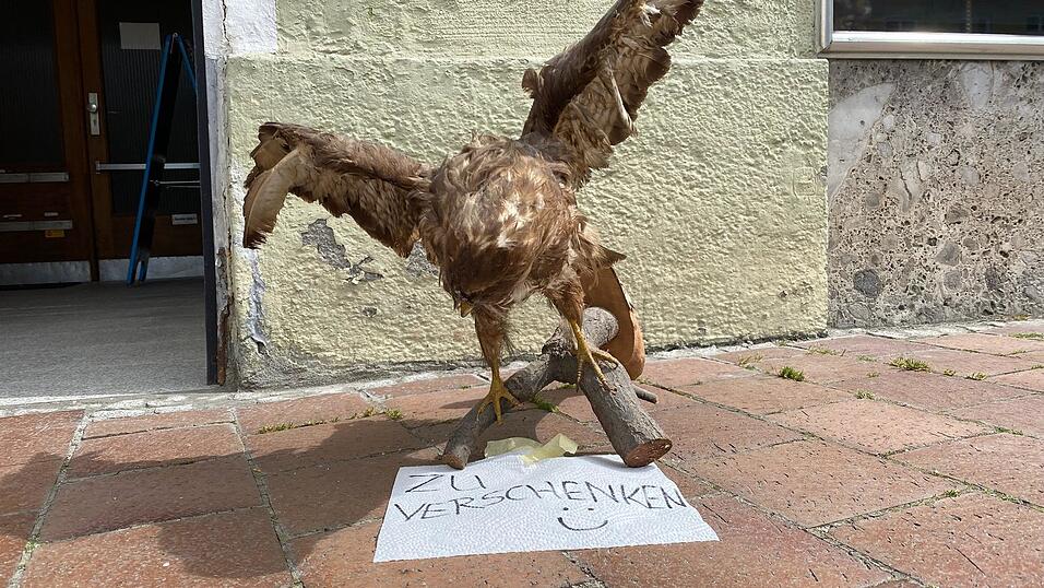 Wohl der Höhepunkt an Dingen, die in den vergangenen Wochen auf Landshuts Straßen in der Kategorie 'Zu verschenken' aufgetaucht sind, ist dieser Greifvogel. Manch einer vermutet, es könnte sich dabei um einen milbenzerfressenen Mäusebussard handeln.