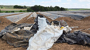 Nicht unumstritten ist der Folienanbau von Spargel.