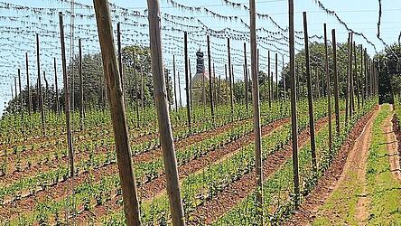 Die Wallfahrtskirche St. Anton thront malerisch hoch &uuml;ber dem Abenstal. Am Pfingstmontag versammeln sich dort heuer, wie jedes Jahr seit gut einem Jahrhundert, die Krieger- und Soldatenvereine der Hallertau zum Gedenken.