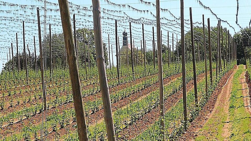 Die Wallfahrtskirche St. Anton thront malerisch hoch über dem Abenstal. Am Pfingstmontag versammeln sich dort heuer, wie jedes Jahr seit gut einem Jahrhundert, die Krieger- und Soldatenvereine der Hallertau zum Gedenken. Die Wallfahrtskirche St. Anton thront malerisch hoch über dem Abenstal. Am Pfingstmontag versammeln sich dort heuer, wie jedes Jahr seit gut einem Jahrhundert, die Krieger- und Soldatenvereine der Hallertau zum Gedenken.