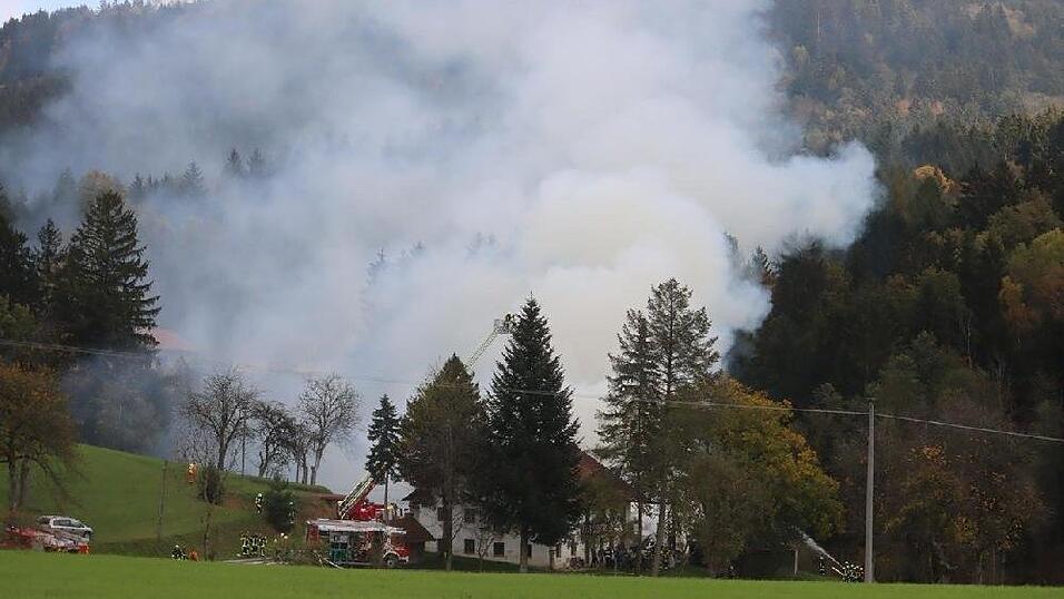 Die Feuerwehr konnte ein Übergreifen des Brandes auf den umliegenden Wald verhindern.