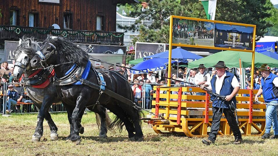 Der Wettbewerb der Zweisp&auml;nner verspricht besondere Spannung beim Zugleistungswettbewerb.