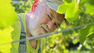 Seit etwa 15 Jahren betreibt Franz Luttner gemeinsam mit seiner Frau Doris den einzigen, zertifizierten Bio-Weinbaubetrieb im Landkreis.