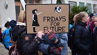 Fridays for Future rufen am 24. September zu einem globalen Klimastreik auf. (Symbolbild) Fridays for Future rufen am 24. September zu einem globalen Klimastreik auf. (Symbolbild)