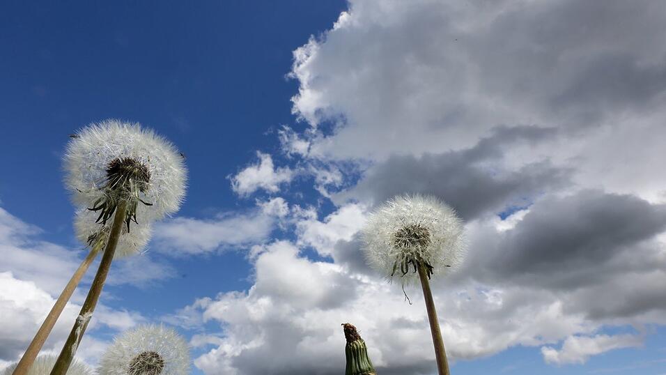 Am Dienstag erwartet Bayern vielerorts ein Sonne-Wolken-Mix. (Symbolbild) Am Dienstag erwartet Bayern vielerorts ein Sonne-Wolken-Mix. (Symbolbild)