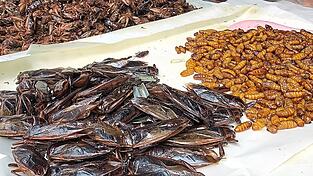 Proteinreiche Insekten könnten bald öfter auf deinem Teller landen. Proteinreiche Insekten könnten bald öfter auf deinem Teller landen.