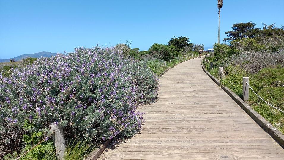 Die ersten Tage in den USA verbrachte Kati Auerswald in San Francisco und Umgebung in Kalifornien.