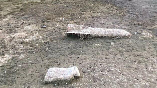 „Bloß nicht anfassen“, warnt die Polizei. Wer angesichts des anhaltenden Niedrigwassers Fliegerbomben oder andere Munition in einem Flussbett findet, soll sofort die Polizei verständigen. „Bloß nicht anfassen“, warnt die Polizei. Wer angesichts des anhaltenden Niedrigwassers Fliegerbomben oder andere Munition in einem Flussbett findet, soll sofort die Polizei verständigen.