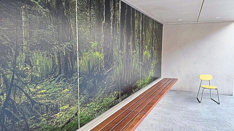 Am Schwanenplatz gibt es ab sofort wieder eine Bank, mit zwei Stühlen übt sich die Stadt durchaus in Humor. Und Kunst sorgt für einen „Großstadtdschungel“. Am Schwanenplatz gibt es ab sofort wieder eine Bank, mit zwei Stühlen übt sich die Stadt durchaus in Humor. Und Kunst sorgt für einen „Großstadtdschungel“.