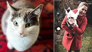 Hat Katze Rocket das Potential zum Insta-Tiger? In unserer vierten Challenge der idowa-Bucketlist will das unsere Redakteurin herausfinden.