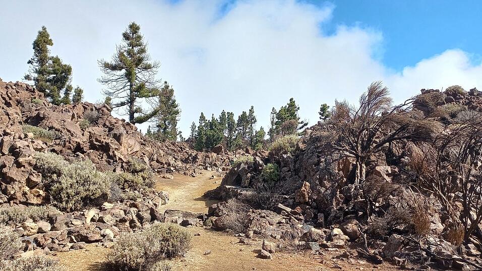 Wanderungen durch die Natur, steile Straßen durch kleine Städte und wunderschöne Strände: Katis Eindrücke aus Teneriffa.