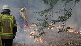 Mehrere Hundert Hektar Waldfläche stehen in Flammen. Mehrere Hundert Hektar Waldfläche stehen in Flammen.