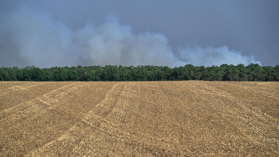 Möglicherweise ist der Brand im Wald von Fontainebleau absichtlich gelegt worden. Möglicherweise ist der Brand im Wald von Fontainebleau absichtlich gelegt worden.