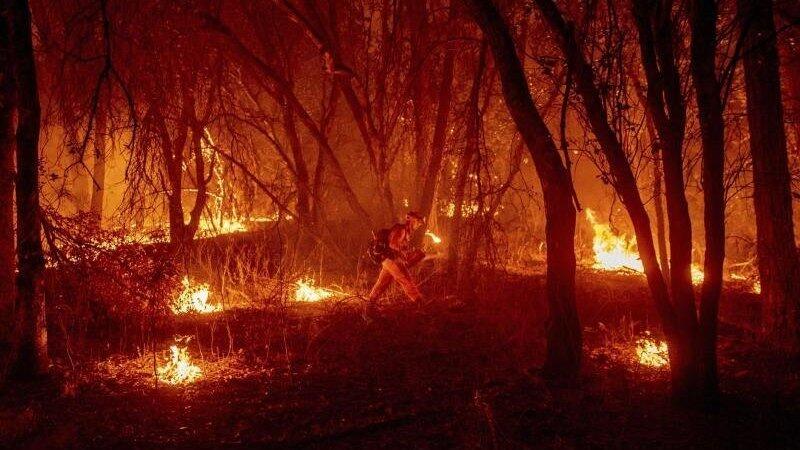 Ein Feuerwehrmann versucht, ein Feuer einzud&auml;mmen.