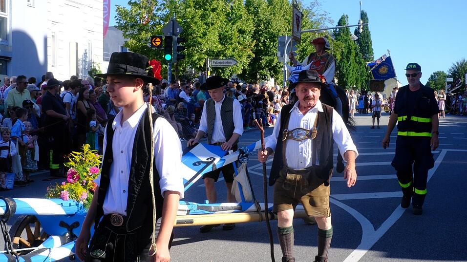 Die Ochsen von Helmut Stocker ziehen seit &uuml;ber 20 Jahren den traditionellen Stadtpflug. Auch heuer will Stocker mit seinem Gro&szlig;neffen Sebastian wieder mit dabei sein.