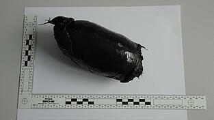 Diese mit Kokain gefüllte Plombe trug der junge Mann am Körper. Diese mit Kokain gefüllte Plombe trug der junge Mann am Körper.