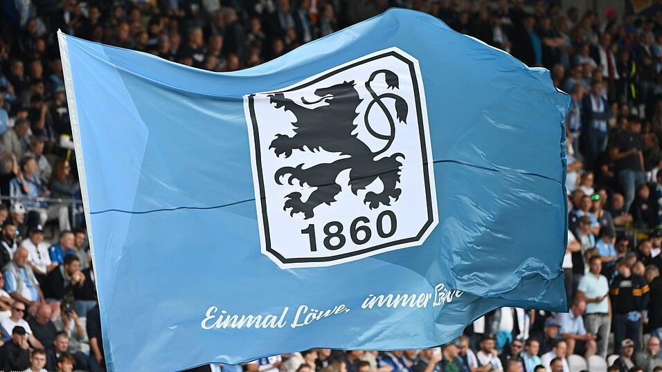 Die Münchner Löwen spielten bei Viktoria Köln. Die Münchner Löwen spielten bei Viktoria Köln.