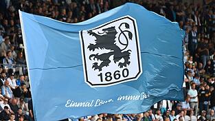 Die Münchner Löwen spielten bei Viktoria Köln. Die Münchner Löwen spielten bei Viktoria Köln.